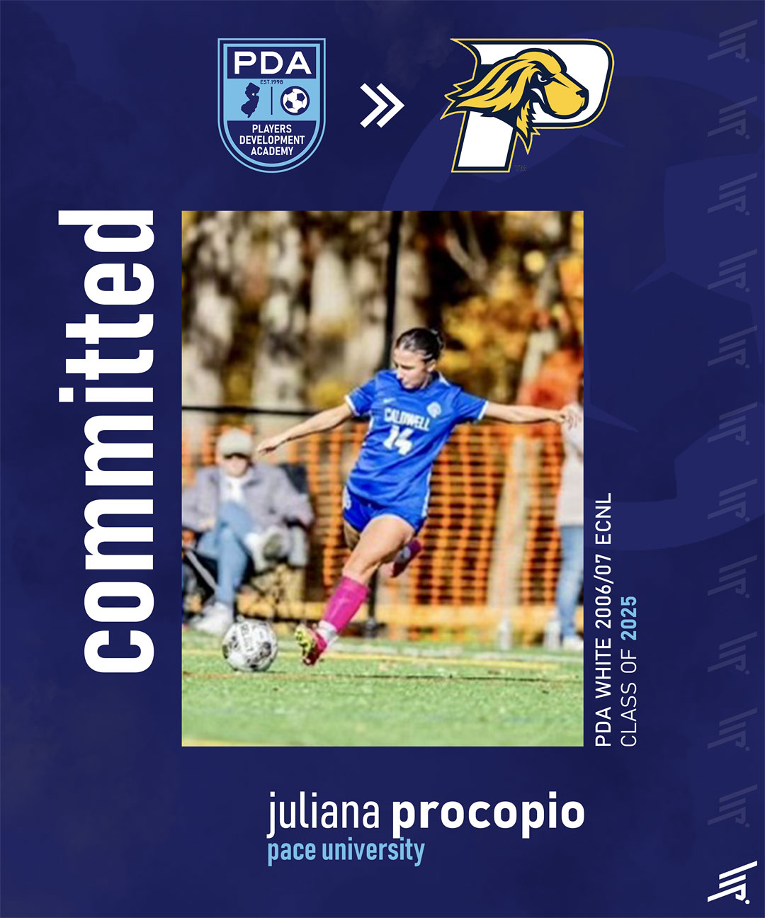 Juliana Procopio - Pace University